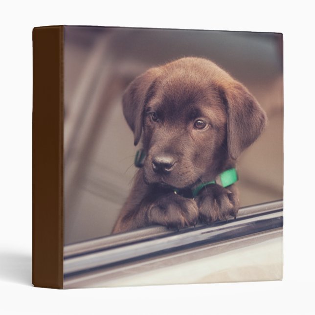 Classeur Chocolat Labrador Chiot En Voiture (Devant/Côté)
