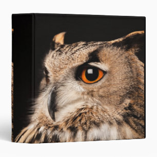 Classeur Chouette d'aigle eurasien