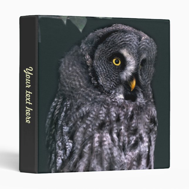 Classeur Chouette grise (Devant/Côté)