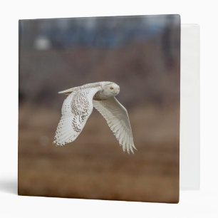 Classeur Chouette neige en vol