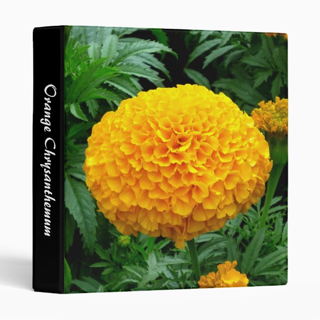 Classeur Chrysanthème orange (1,0 po) (Devant/Côté)