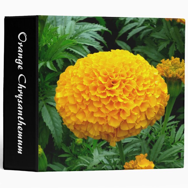 Classeur Chrysanthème orange (2,0 po) (Devant/Côté)