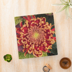 Classeur Chrysanthème rouge et jaune Floral