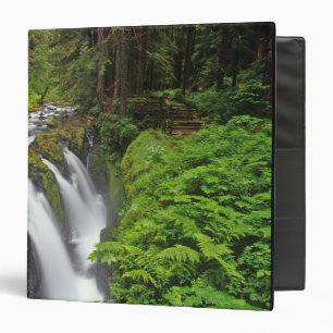 Classeur Chutes Sol Duc dans le parc national Olympique en