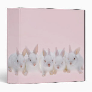 Classeur Cinq lapins 2