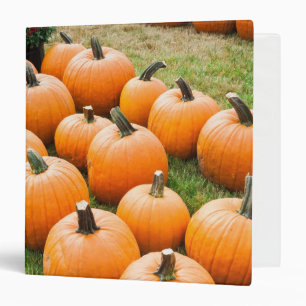 Classeur Citrouilles à vendre au marché d'un agriculteur