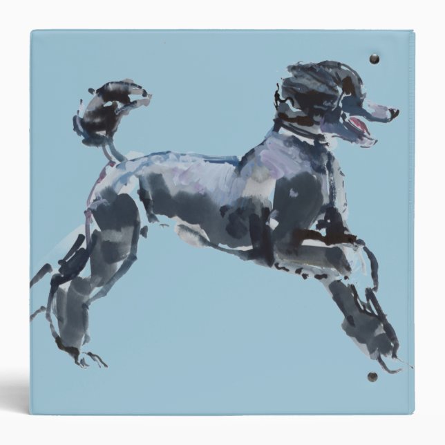 Classeur Classe pure 2013 (Dos)