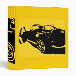 Classeur classique de voiture