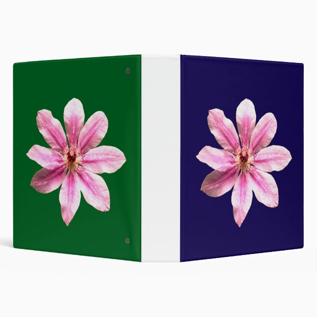 Classeur Clematis Nelly Moser (Arrière-plan)