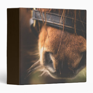 Classeur Closeudo d'un mignon cheval Brown nez