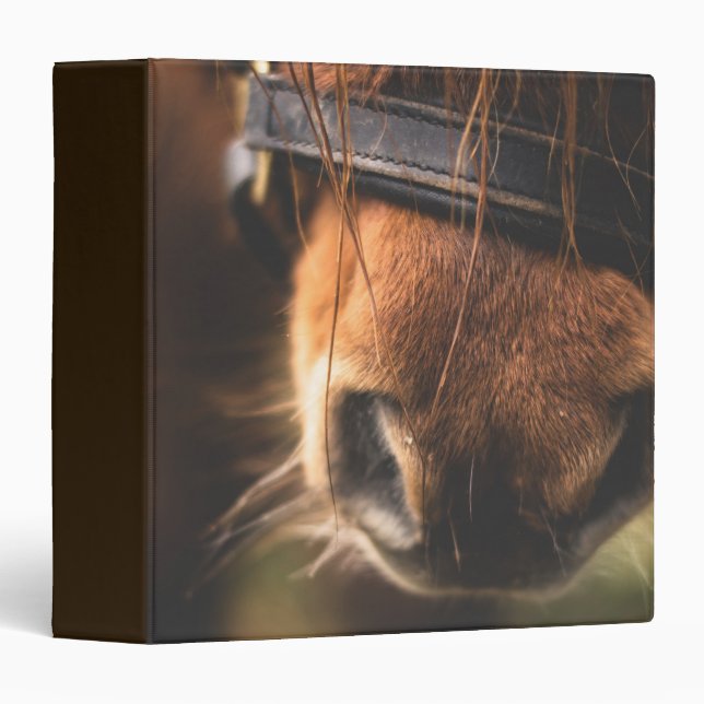 Classeur Closeudo d'un mignon cheval Brown nez (Devant/Côté)