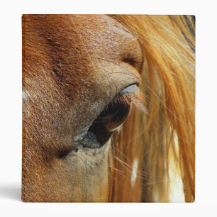 Classeur Closeuse des yeux du cheval