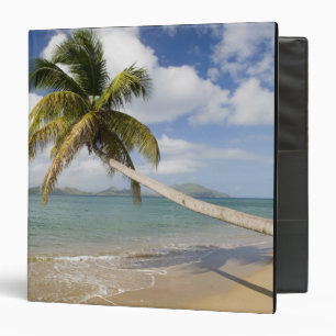 Classeur Coconut Grove Beach à Cades Bay, avec St.