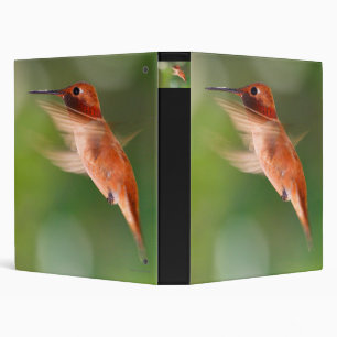 Classeur colibri