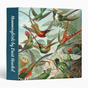 Classeur Colibris par Ernst Haeckel, Oiseaux Arbres Vintage