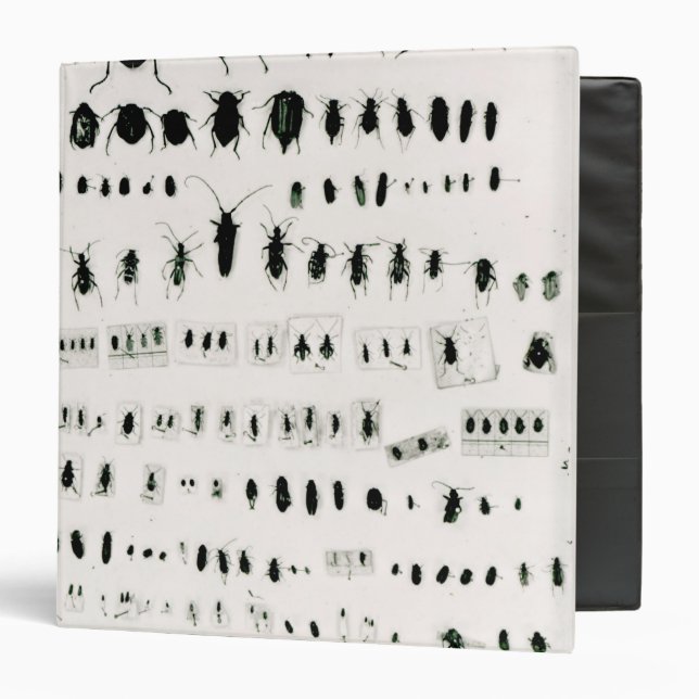 Classeur Collection de l'insecte de Darwin (Devant/Intérieur)