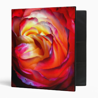 Classeur Colori Brillanti