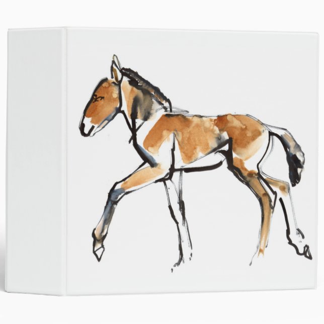 Classeur Colt (Devant/Côté)