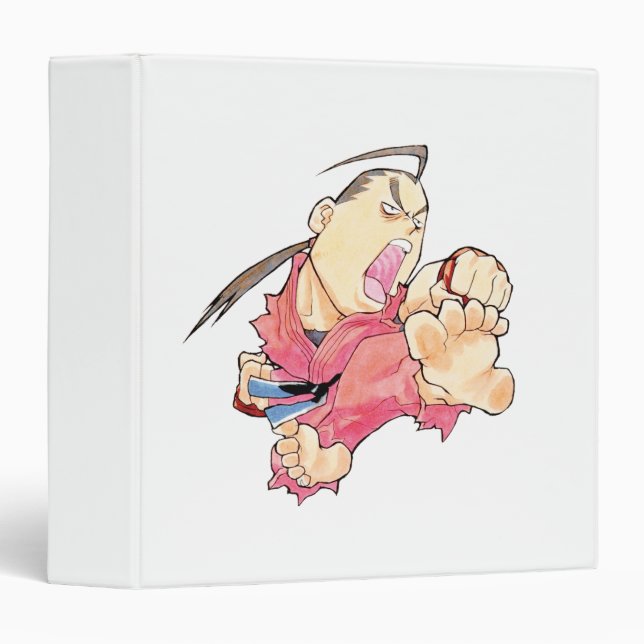 Classeur Combattant superbe II Turbo Dan 2 de puzzle (Devant/Côté)