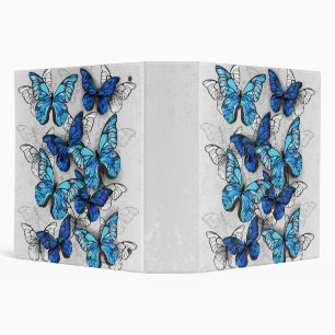 Classeur Composition des White and Blue Butterflies