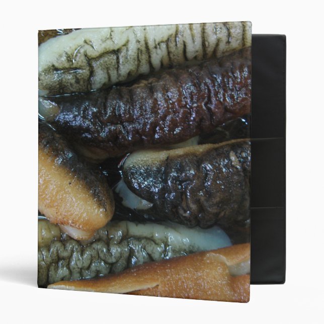 Classeur Concombre de mer ... Nourriture du marché du Yaowa (Devant/intérieur)