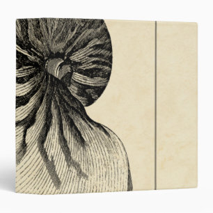 Classeur Conque noire et blanche vintage Shell