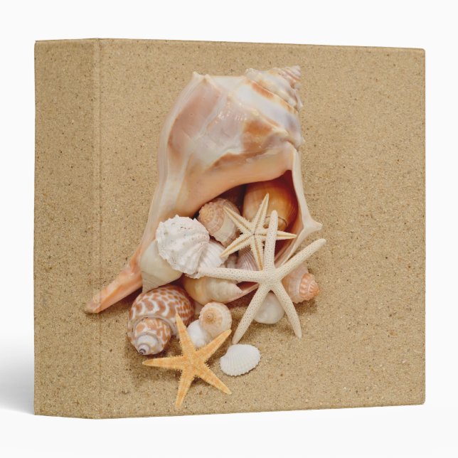 Classeur Conque Shell avec des coquilles et des étoiles de (Devant/Côté)