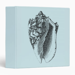 Classeur Conque Shell d'Aqua