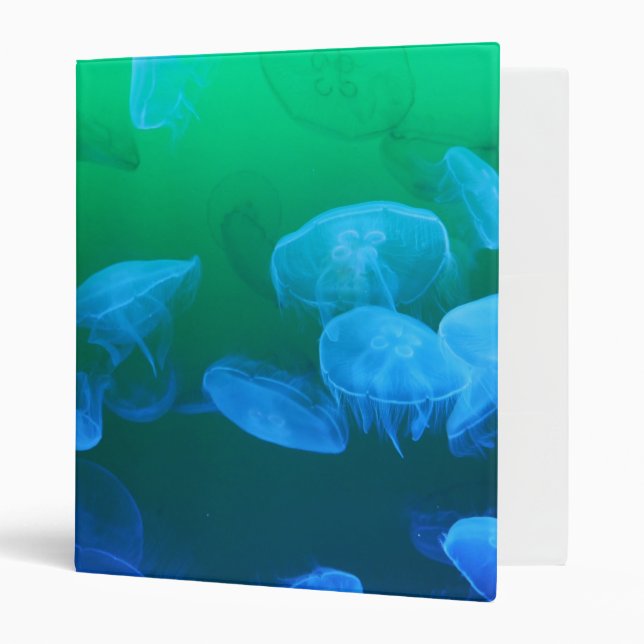 Classeur Cool Jellyfish Green Blue Gradient (Devant/intérieur)