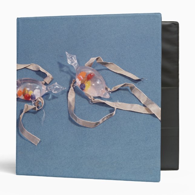 Classeur Copie de deux thermomètres médicaux (Devant/Intérieur)