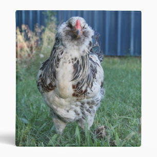 Classeur Coq de Pâques Egger