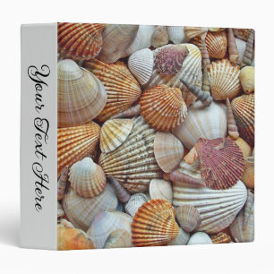 Classeur Coquillages