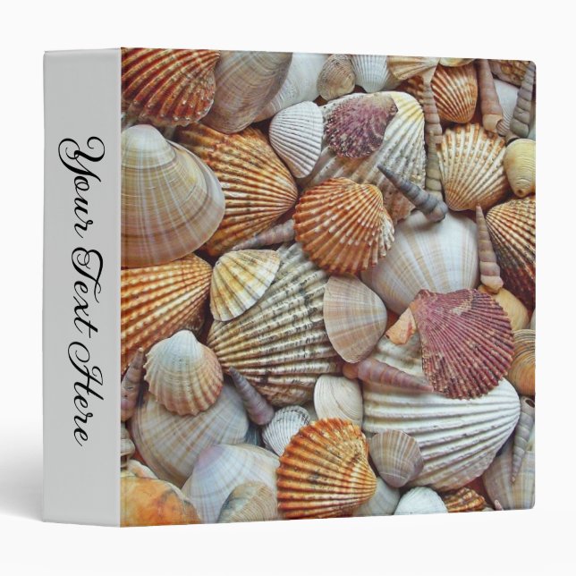 Classeur Coquillages (Devant/Côté)