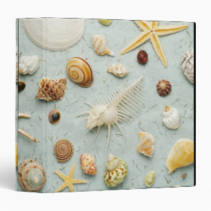 Classeur Coquillages assortis sur l'arrière - plan bleu