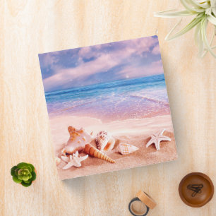 Classeur Coquillages sur la plage Sea Beach