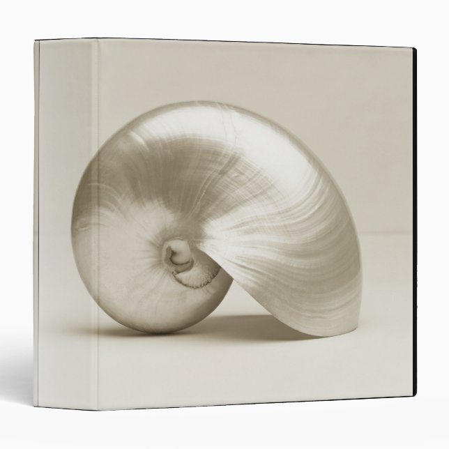 Classeur Coquille marine de nausolée perlée (Devant/Côté)