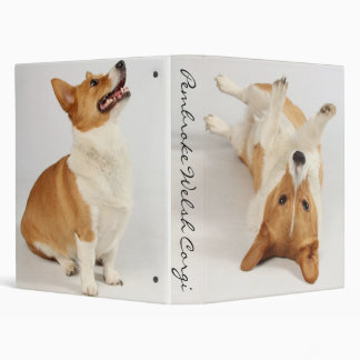 Classeur Corgi de Gallois de Pembroke