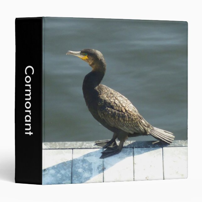 Classeur Cormorant (1,5 po) (Devant/Côté)