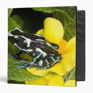 Classeur Costa Rica, péninsule d'Osa