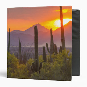 Classeur Coucher de soleil sur cactus du désert, Arizona
