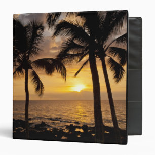 Classeur Coucher de soleil sur palmier