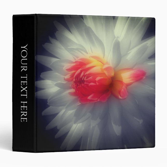 Classeur Couleur partielle de la fleur rouge Dahlia personn (Devant/Côté)