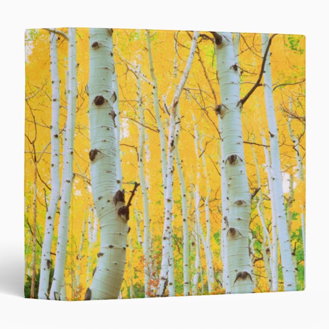 Classeur Couleurs automnales des arbres d'Aspen 1 (Devant/Côté)