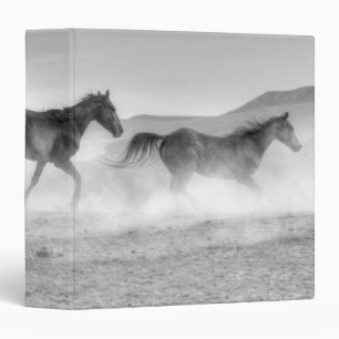 Classeur Course de mustang