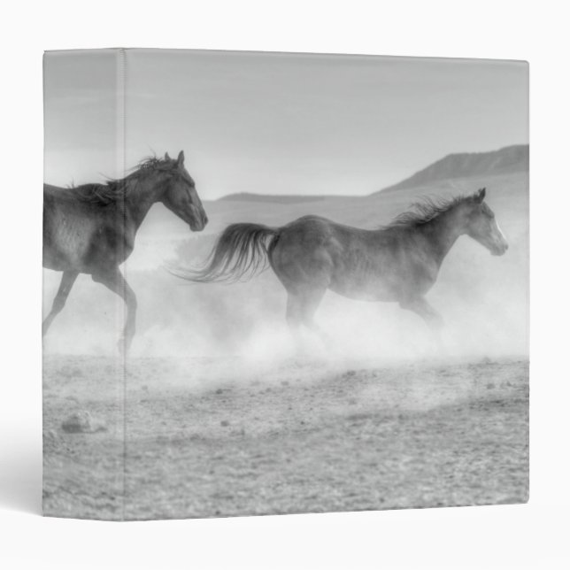Classeur Course de mustang (Devant/Côté)