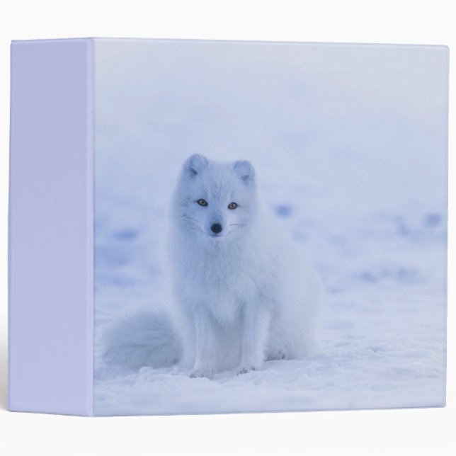 Classeur Cute Arctic Fox sur Snowy Winter Arrière - plan (Devant/Côté)