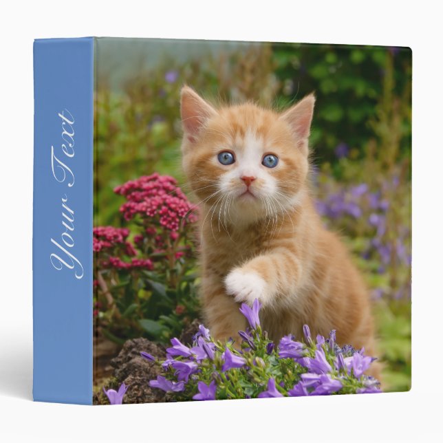 Classeur Cute Ginger Chat Kitten dans un jardin Photo Portr (Devant/Côté)