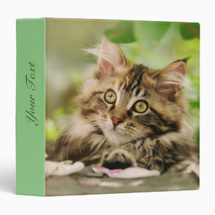 Classeur Cute Maine Coon Chat Kitten Portrait photo -