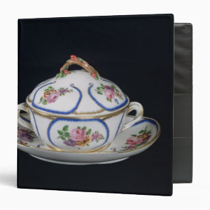 Classeur Cuvette de Sevres et plat, 1764