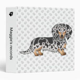 Classeur Dachshund à poil long noir et tan panaché & pattes